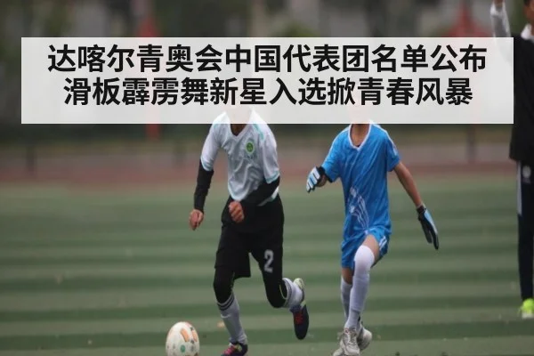 达喀尔青奥会中国代表团名单公布 滑板霹雳舞新星入选掀青春风暴（kaiyun）