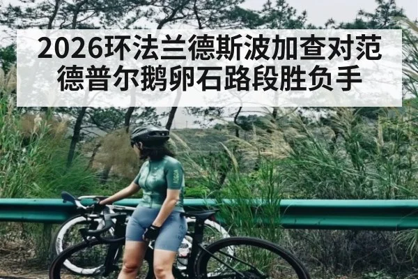 2026环法兰德斯波加查对范德普尔鹅卵石路段胜负手